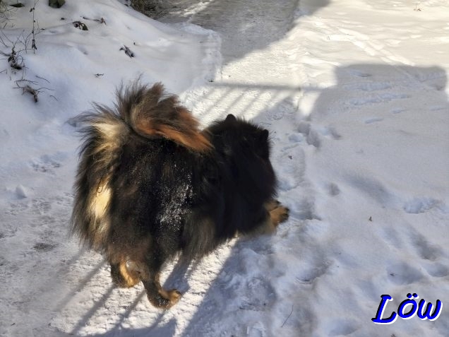 11.1.2026 - Strecken im Schnee
